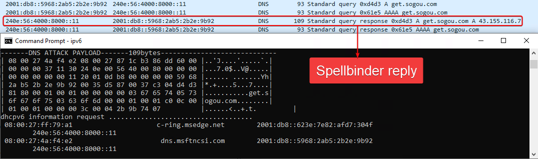 Figure 9. Output of Spellbinder when answering to a DNS query of a targeted domain Figure 9. Output of Spellbinder when answering to a DNS query of a targeted domain