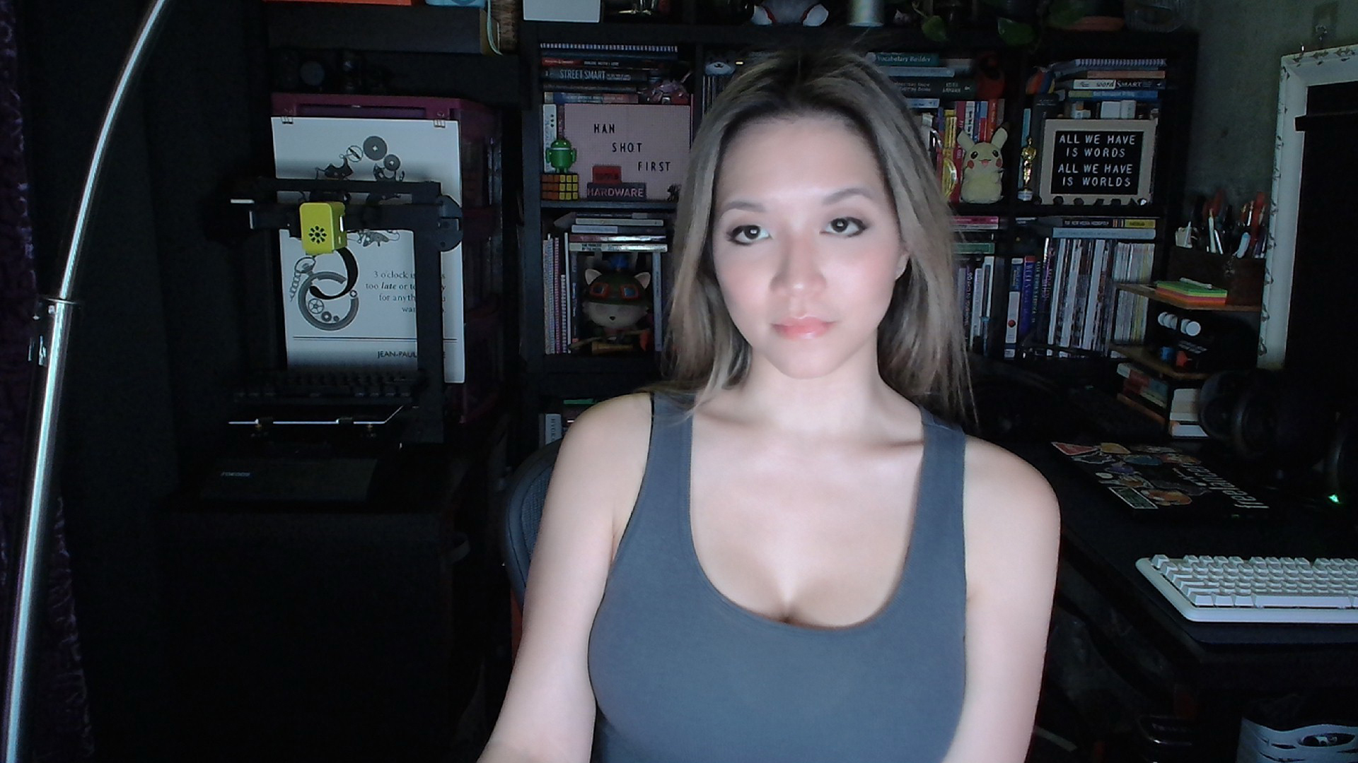 Low-Light Performance of the Facecam Neo