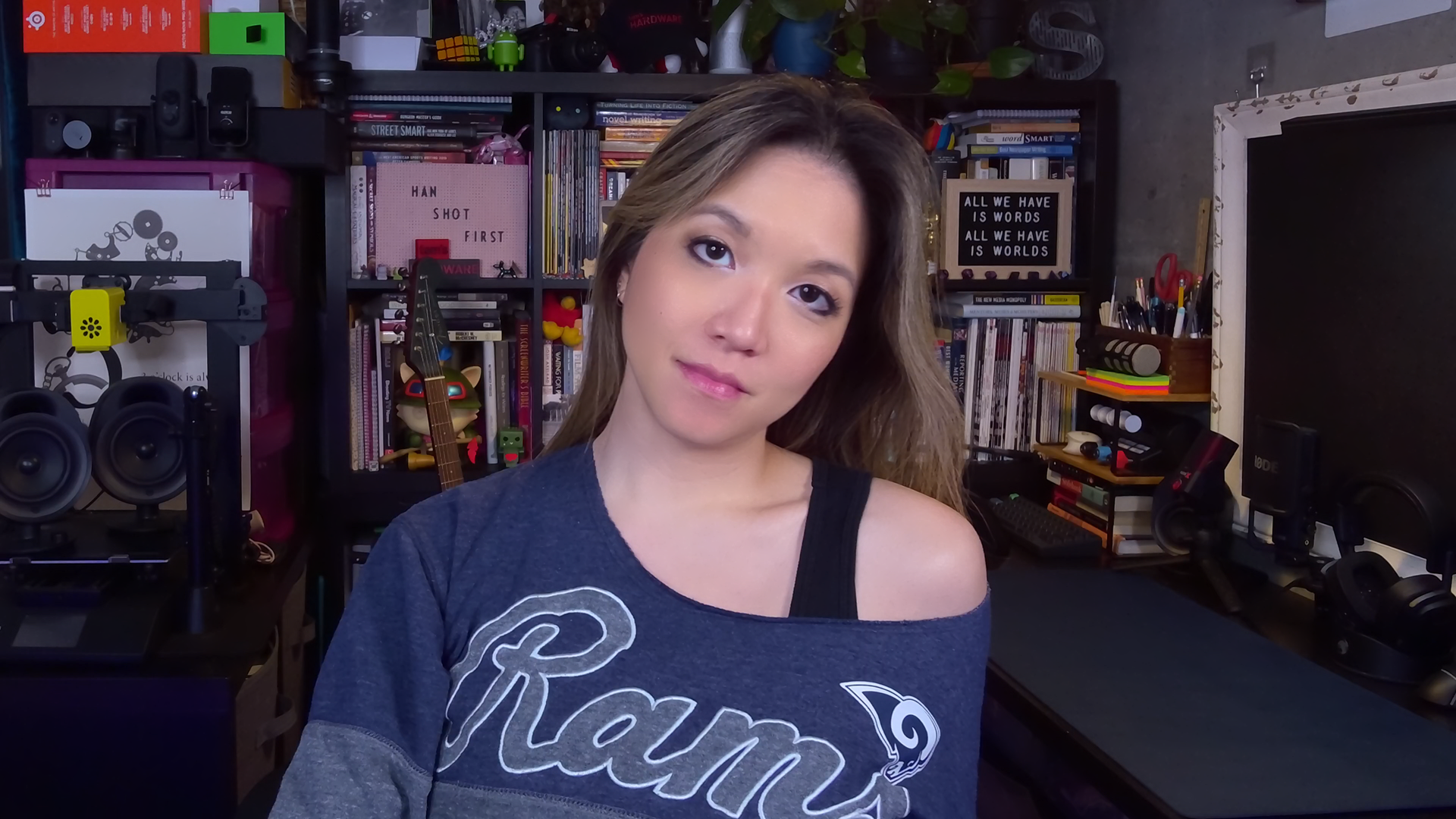 Well-lit Performance of the Facecam Neo