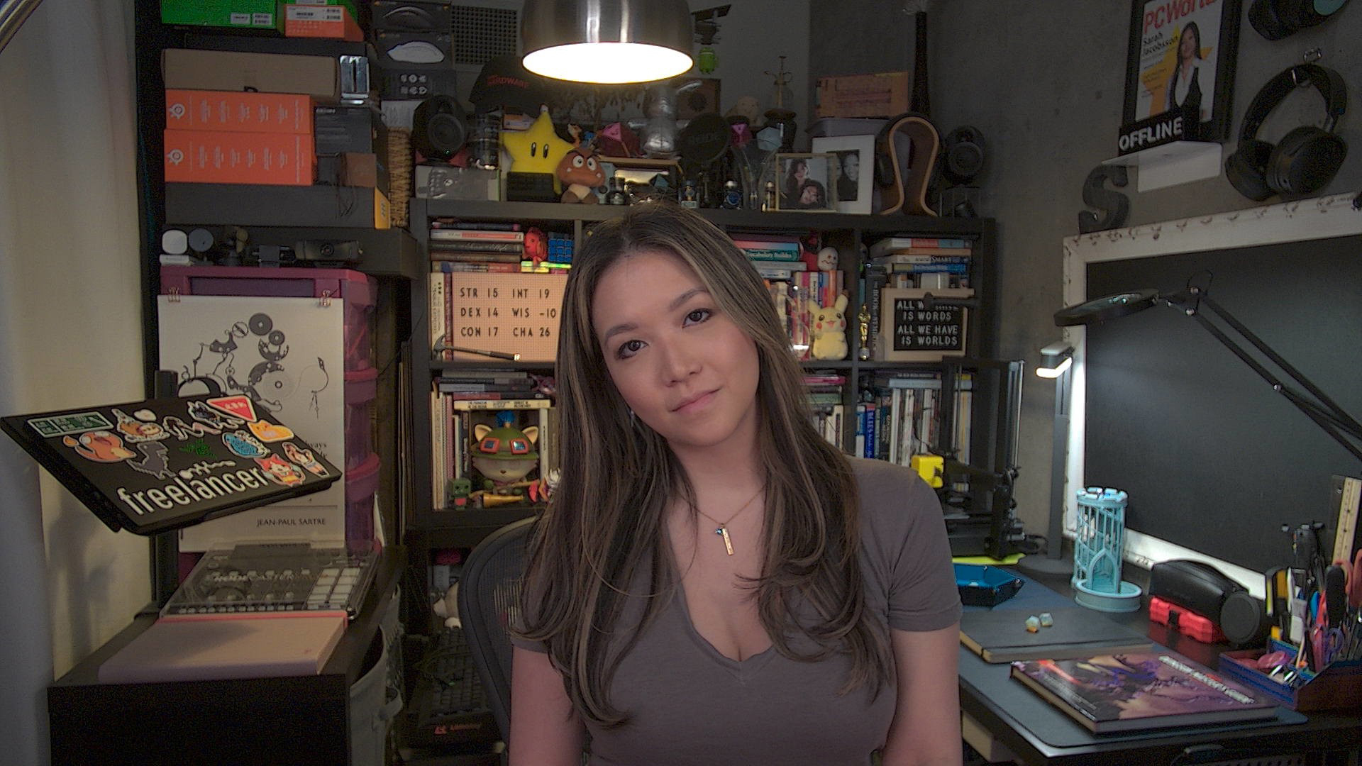 Well-lit Performance of the Facecam Neo